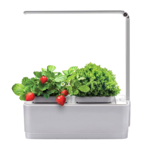 Картинка товара Компактный смарт-сад iGarden LED с подсветкой