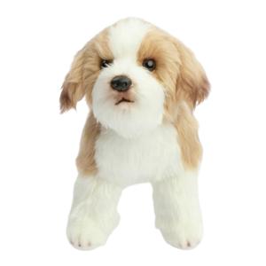 Картинка товара Мягкая игрушка «Real animals: Мальтипу», 29 см