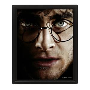 Картинка товара Постер 3D Harry Potter Harry Vs Voldemort 